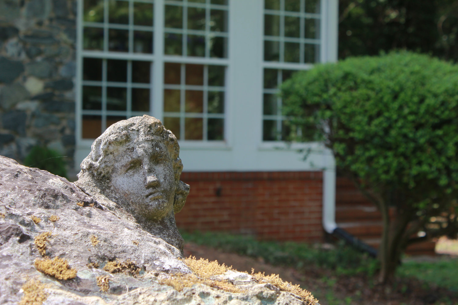 A stone face pokes out from where it is carved into a rock in the front of the home formerly known as Aunt Bee’s house in SIler City. New owner Kathy Nail, who moved from California, is currently working on the landscape of the house and taming the overgrowth of trees and ivy.